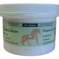 Produktbild: Pferdebalsam 300 ml von Dr. Sacher ́s
