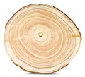 Produktbild: Baumscheibe Deko-Platte Ca. Ø 29cm Brett Holz-Scheibe Naturbelassen Unikat Deko