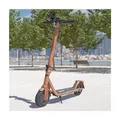 Produktbild: Viron E-Scooter XI-700-S versch. Ausführungen Holzoptik mit Straßenzulassung
