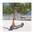 Produktbild: Viron E-Scooter XI-700-S versch. Ausführungen Holzoptik mit Straßenzulassung