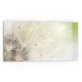 Produktbild: DEQORI Küchenrückwand 'Pusteblume ganz nah', Glas Spritzschutz Badrückwand Herdblende grün 80 cm x 40 cm