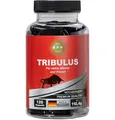 Produktbild: B.P.V - TRIBULUS 120 Kapseln - Hochdosiert 775,0 mg pro Kapsel - Trainings Booster - Perfekt geeignet für Sportler und Aktive Männer - Für Lust - Liebe - Leidenschaft und mehr