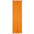 Produktbild: Vorhang WIRTH 
