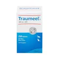Produktbild: Traumeel T ad us. vet. Tabletten für Hund und Katze · 250 St · PZN 04055630