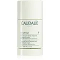 Produktbild: Caudalie Vinofresh Deo-Stick 50 g