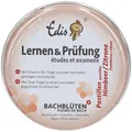 Produktbild: Edis Lernen & Prüfung