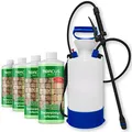 Produktbild: ABACUS® Steinreiniger Set, selbsttätiger Algenentferner & Flechtenentferner, 40% Wirkstoff, gegen Flechten & Algen auf Pflastersteinen – Steinreiniger 4x 1000 ml inkl. Drucksprüher (7817.4)
