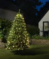 Produktbild: Coen Bakker Deco BV LED-Lichternetz LED Lichternetz Trapez Kegel Warmweiß Netz für Weihnachtsbaum Baum, 80-flammig, 80 LEDs geeignet für Bäume mit einer Höhe von 0,90m - 1,30m