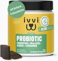 Produktbild: PROBIOTIC Hunde Probiotika als Leckerli - Hund Darmflora aufbauen, verbessert...