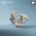 Produktbild: Karoline Wallace Eon (CD)