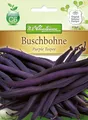 Produktbild: N.L.Chrestensen 4364, Buschbohnen Purple Teepee, Gluckentyp, Blau