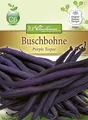 Produktbild: N.L. Chrestensen 4364 Buschbohne Purple Teepee Glucktyp (Buschbohnensamen)