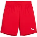 Produktbild: Puma teamGOAL Shorts Jr (140) (705753_01)