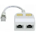 Produktbild: Telegärtner RJ45 Netzwerk Y-Adapter CAT 5e [2x RJ45-Buchse - 1x RJ45-Stecker]