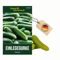 Produktbild: Salat- und Einlegegurke Delikateß Samen - Cucumis sativus - Gurkensamen - Gemüsesamen - Saatgut für 10 Pflanzen