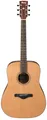 Produktbild: IBANEZ AW65-LG Dreadnought Akustik-Gitarre