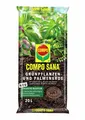 Produktbild: COMPO SANA® Grünpflanzen- und Palmenerde 20 L