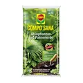 Produktbild: COMPO SANA Grünpflanzen- und Palmenerde 20 Liter