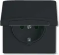 Produktbild: Busch-Jaeger Schuko-Steckdoseneinsatz IP44 anthrazit 20 EUGK-35-101 2064-0-0290