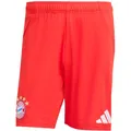 Produktbild: ADIDAS Herren Teamhose FC Bayern München 25/26 Heim