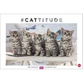 Produktbild: Heye Bildkalender 1130, Whiskas Cattitude, Jahr 2026, Motiv: Katzen, Spiralkalender, 45 x 30cm