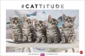 Produktbild: Whiskas Katzenkalender 2026 Heye