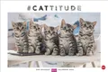 Produktbild: Whiskas Katzenkalender 2026 Heye