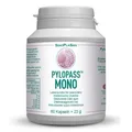 Produktbild: PYLOPASS MONO 200 mg bei Helicobacter pylori Kaps. 60 St PZN 13426930