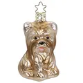 Produktbild: Inge-glas - Christbaumschmuck, Baumschmuck - Hund Yorkshire Terrier - Größe: 7,5 cm - Glas mundgeblasen