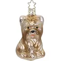 Produktbild: Christbaumschmuck  Hund Yorkshire Terrier Glas 7,5 cm braun