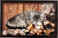 Produktbild: oKu-Tex Fußmatte Türvorleger mit Aufdruck, Katzen, niedlich, Fußmatte für innen, rutschfest und waschbar, Katzenmotiv