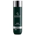 Produktbild: Professional Man Silver Shampoo M1s System 250ml - shampoo per capelli grigi e bianchi