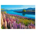 Produktbild: Castorland Puzzle Puzzle da 500 Pezzi - Lago Tekapo, Nuova Zelanda, Puzzleteile
