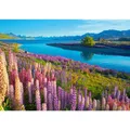 Produktbild: Puzzle da 500 Pezzi - Lago Tekapo, Nuova Zelanda