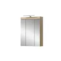 Produktbild: Spiegelschrank SCHLOONSEE  Breite 60cm  inkl. Beleuchtung  3 Spiegeltüren  9 Fächer in verschiedenen Farben erhältlich  Badmöbel  Spiegel  Badschrank  Bad  Schloonsee , verspiegelt , Maße (cm): B: 60 H: 191