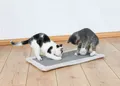 Produktbild: Katzen Kratzmatte Sisal mit Plüschrand Kratzspielzeug mit Spielball 55 x 35 cm