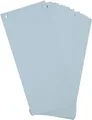 Produktbild: Exacompta 100er Pack Trennstreifen Karton 10,5x24 cm Blau Register Blauer Engel