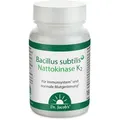 Produktbild: Bacillus subtilis plus Nattokinase-Enzym+Vitamin K2 vegan 60 St