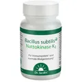 Produktbild: Bacillus subtilis plus Nattokinase-Enzym Vitamin K2 vegan