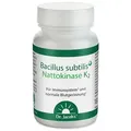 Produktbild: BACILLUS subtilis plus Dr.Jacob's Kapseln 60 St