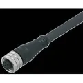 Produktbild: Ifm Electronic Anschlusskabel E12404