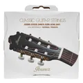 Produktbild: ICLS6NT Classguitar String Set