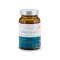 Produktbild: Vitalsee BOSWELLIA serrata 400 Extrakt