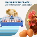 Produktbild: Borotto automatische LUMIA 56 - Patentierte professionelle Brutmaschine 🔝💙