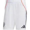 Produktbild: ADIDAS Herren Teamhose FC Bayern München 25/26 Auswärts