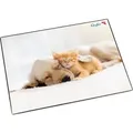 Produktbild: Läufer Schreibunterlage Hund und Katze, 400 x 530 mm