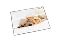 Produktbild: Läufer Schreibtischunterlage Läufer Schreibunterlage Hund und Katze, 400 x 530 mm