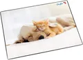 Produktbild: Läufer 46657 Schreibunterlage Hund und Katze, 400 x 530 mm