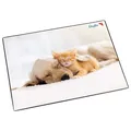 Produktbild: Läufer Schreibunterlage Auflage Katze Hund 40x53cm mit Einsteckfach Schreibtisch