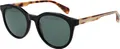 Produktbild: Ted Baker Sonnenbrille TB1721 001 51